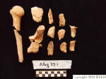 L_V20d5041 A16q33.2 R827 lR ta human bones in q-lot.JPG L_V20d5041 A16q33.2 R827 lR ta human bones in q-lot